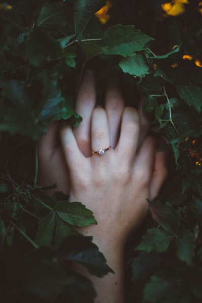 金色戒指的手被绿叶包围
